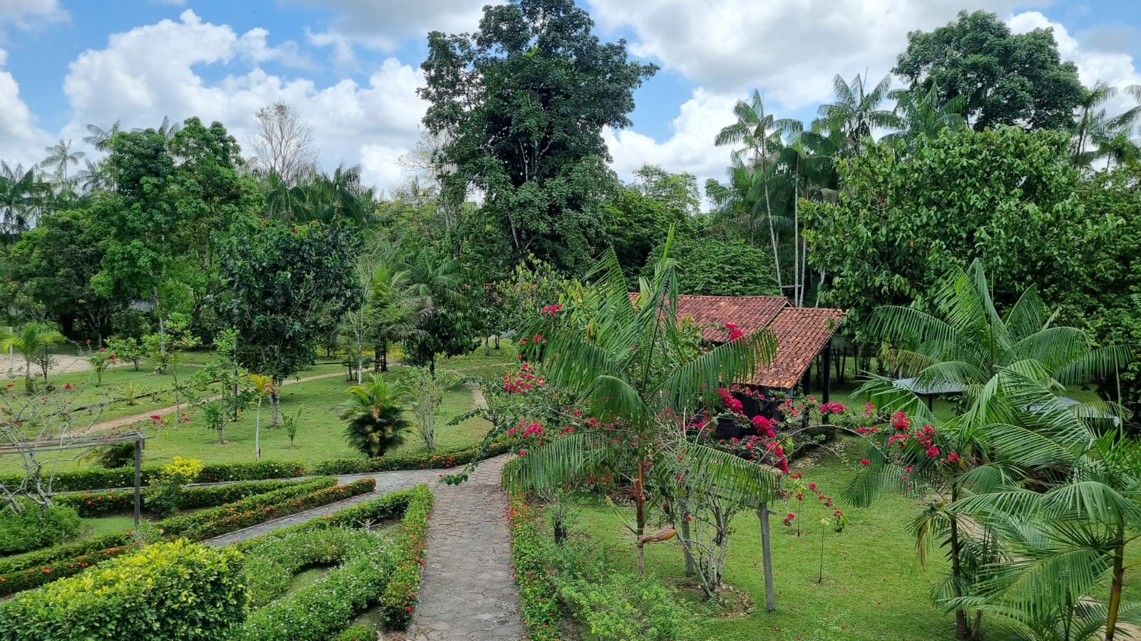 Vista principal verde